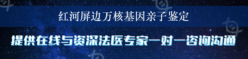 红河屏边万核基因亲子鉴定